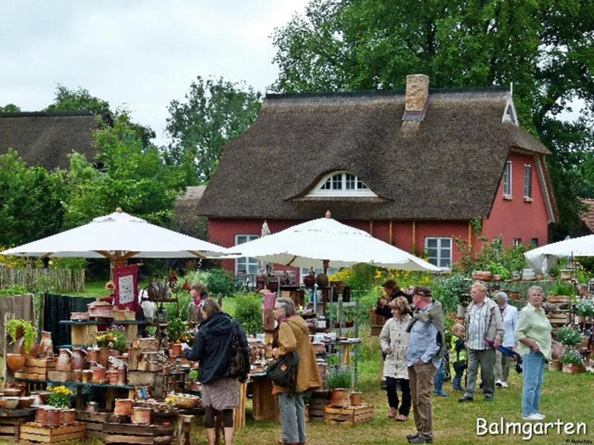"Balmgarten" Im Naturpark Usedom, Bio Solarhaus Mit Grossem Garten Buitenkant foto